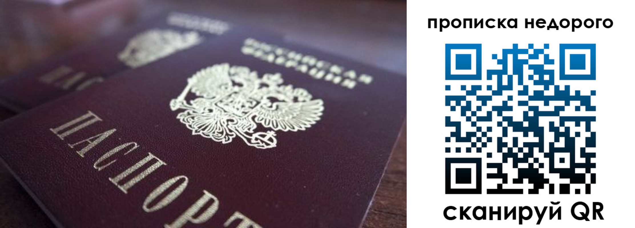 прописка штамп в Чкаловске